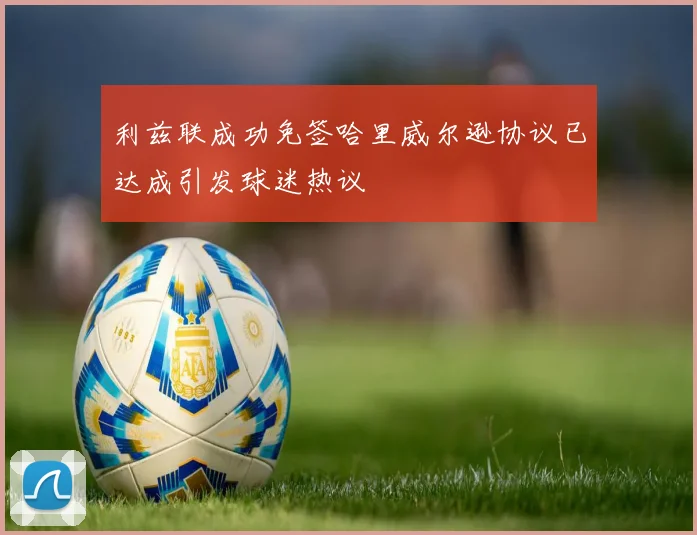 利兹联成功免签哈里威尔逊协议已达成引发球迷热议