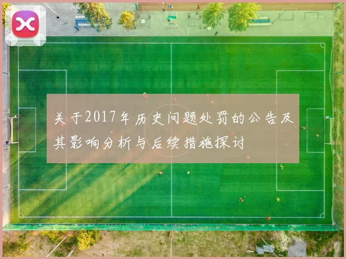 关于2017年历史问题处罚的公告及其影响分析与后续措施探讨
